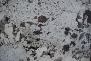 雪山银狐