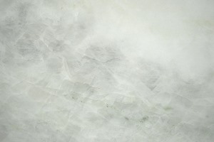 白松露